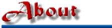 About 1st Tech Web Design Company